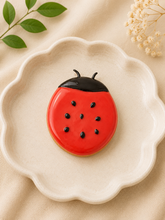 Ladybug Worry Stone